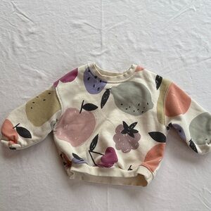 Zara Multicolor Fruit Print Kids Sweatshirt